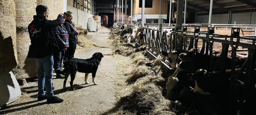 Landwirtschaft – ein wichtiger Teil unserer Gemeinde